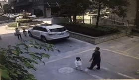 74286d7ff8fdaba89f3cf7b96ef43eaf